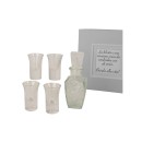 SET5PZ Bicchierini e bottiglia vetro con scatola regalo.