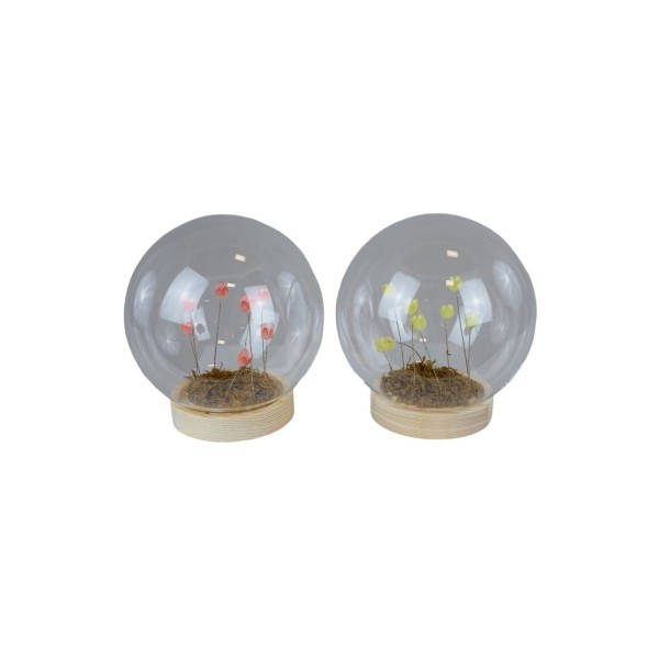 Sfera vetro con luce led e fiori.ASS.2 DIAM.15CM