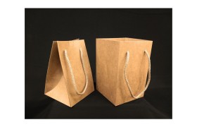 Busta cartoncino avana con soffietto laterale.MIS.11X11H17CM