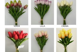 MAZZO 10PZ Tulipani.