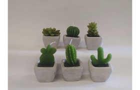 Candela pianta grassa ,vaso ceramica ASS.6 MIS.5X5 H 7/9CM