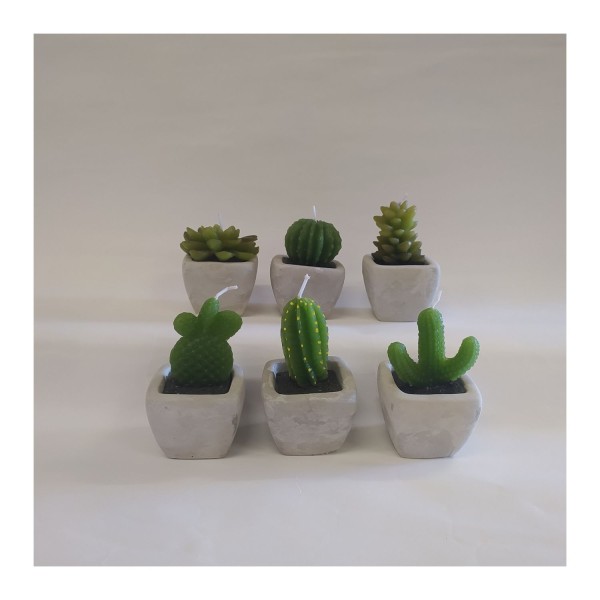 Candela pianta grassa ,vaso ceramica ASS.6 MIS.5X5 H 7/9CM