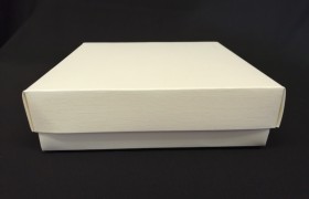 Scatola fondo e coperchio avorio.MIS. 20X20 H6CM