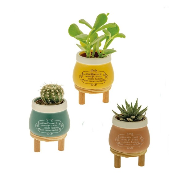 Portapiante in porcellana con stand legno.ASS.3 MIS.8xH10CM