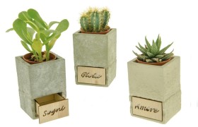 Portapiante in terracotta con cassetto legno.ASS.3 6,5X6,5 H10