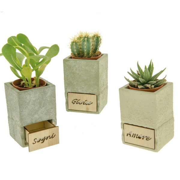 Portapiante in terracotta con cassetto legno.ASS.3 6,5X6,5 H10