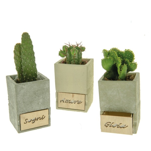 Portapiante in terracotta con cassetto legno.ASS.3  8,5X8,5 H 12.5