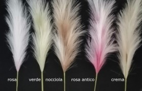 Ramo pampas con stelo.CM70