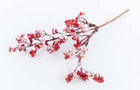 Ramo con bacche rosse e neve.CM22