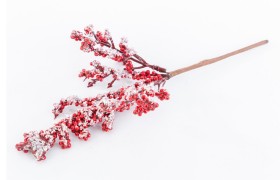 Ramo bacche rosse con neve.CM32