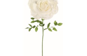 Rosa bianca lattice con stelo D.70 H.159