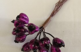 Bacca viola.CM1 Mazzo da12PZ