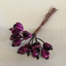 Bacca viola.CM1 Mazzo da12PZ