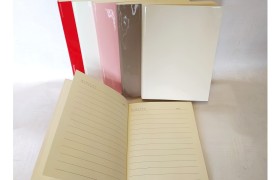 Agenda con copertina in vernice lucida. CM 10x14