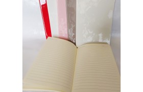 Agenda con copertina in vernice lucida. CM 14x21