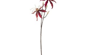 Ramo gloriosa artificiale bordeaux. CM 51