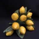 Mazzo 12 limoni con foglia.CM 2-2.5 ca