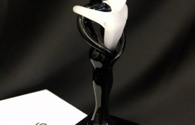 Coppia vetro bianco e nero con base. H 11 con scatola