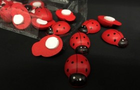 Set 24 coccinelle in legno da applicazione. CM 2.5