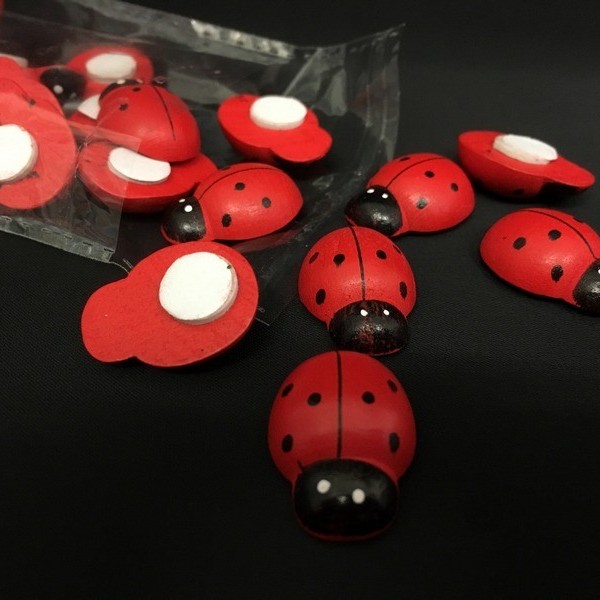 Set 24 coccinelle in legno da applicazione. CM 2.5
