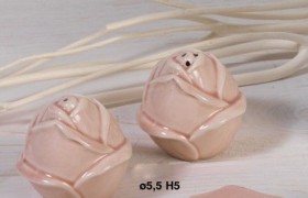 Sale e pepe porcellana rosa CM 5 con scatola