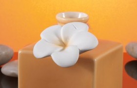 Bottiglia ceramica color pesca con fiore applicazione CM 9 con scatola