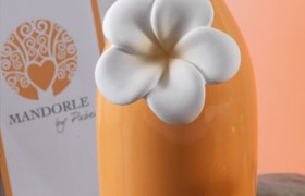 Bottiglia ceramica pesca con applicazione fiore porcellana H 20 con scatola