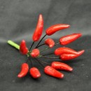 Peperoncino rosso mazzo 12 pz