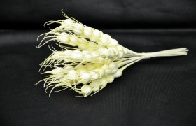 Spiga artificiale color naturale CM10 MZ DA12