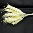 Spiga artificiale color naturale CM10 MZ DA12