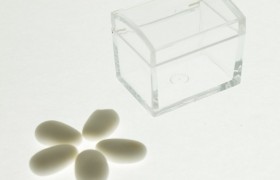 Scatola bauletto plexiglass trasparente CM 6X4X5