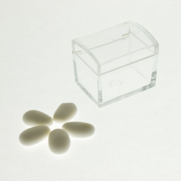 Scatola bauletto plexiglass trasparente CM 6X4X5
