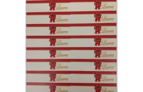 SET 100PZ bigliettini per bomboniere Laurea.