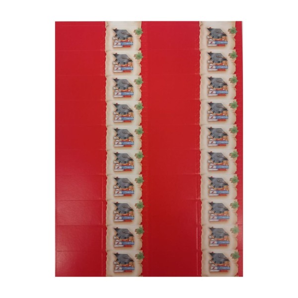 SET 100PZ bigliettini per bomboniere Laurea.