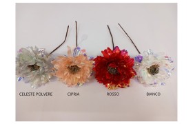 Dalia iris DIAM12 H12CM
