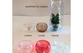 Vaso vetro con ciondolo ricoperto in argento e pianta grassa ,shopper compresa DIAM.9CM MADE IN ITALY