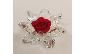 Rosa rossa stabilizzata su base cristallo con scatola. DIAM.8CM