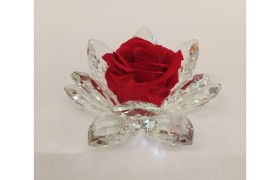 Rosa rossa stabilizzata su base cristallo con scatola. DIAM.12CM