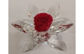 Rosa rossa stabilizzata su base cristallo.DIAM.17CM
