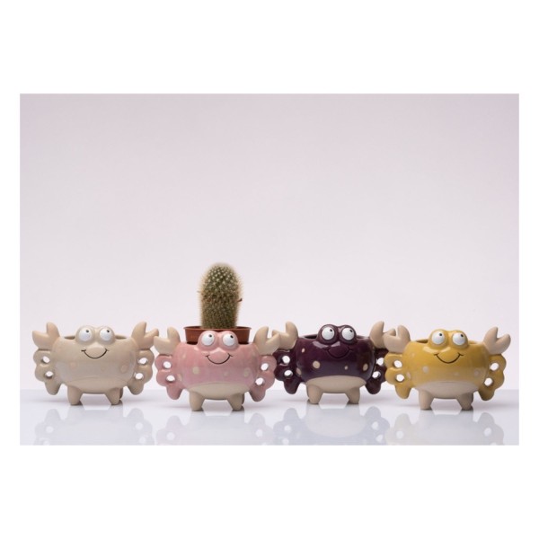 P/Piante ceramica  granchio ASS.4 DIAM.5,5  H6,5CM