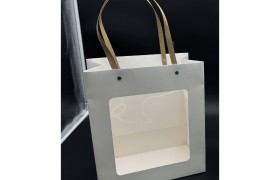 Borsa cartone e pvc MIS.25X14 H28CM