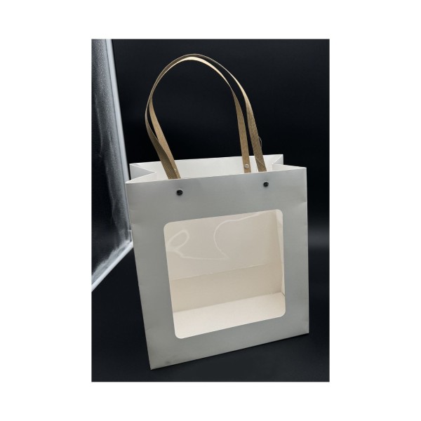 Borsa cartone e pvc MIS.25X14 H28CM