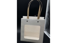 Borsa cartone e pvc MIS.18X10 H20CM