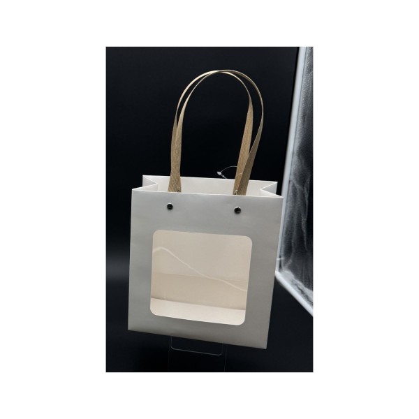 Borsa cartone e pvc MIS.18X10 H20CM
