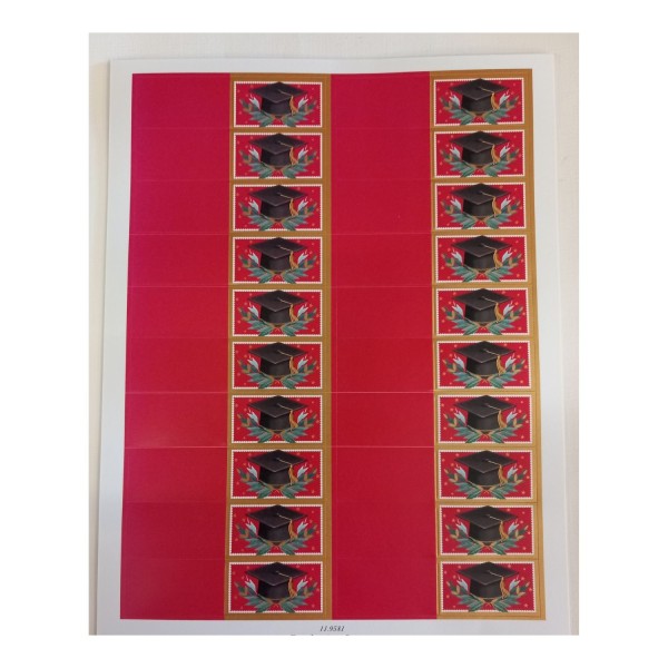 SET 100PZ bigliettini per bomboniere Laurea.