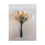 MAZZO 12PZ Calla in lattice CM 3