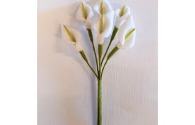 MAZZO 6PZ Calla in lattice CM 2,8