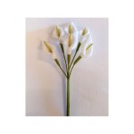 MAZZO 6PZ Calla in lattice CM 2,8
