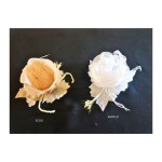 Rosa segnaposto portaconfetti Diam. 6