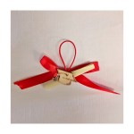 Applicazione laurea con pergamena. H 5